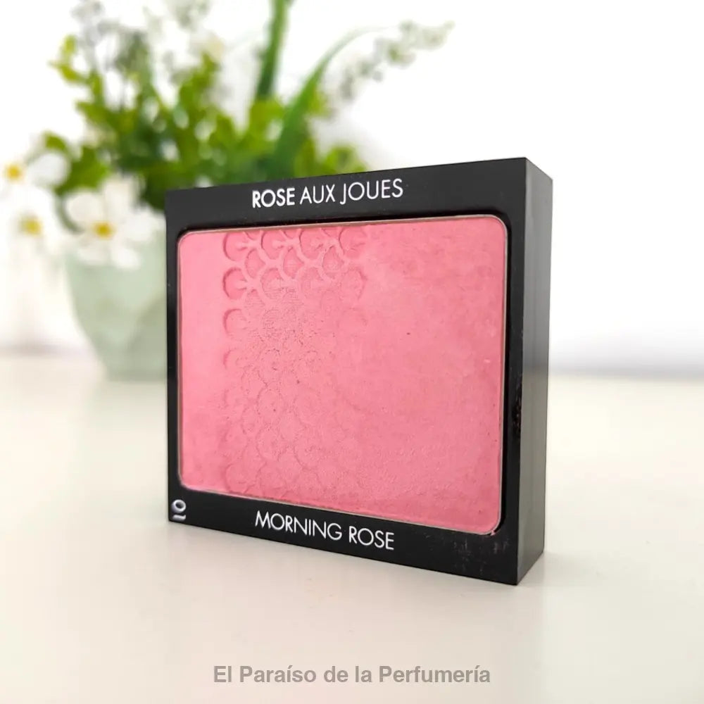 Rose Aux Joues - 01 Morning Rose - Colorete en Polvo - colorete