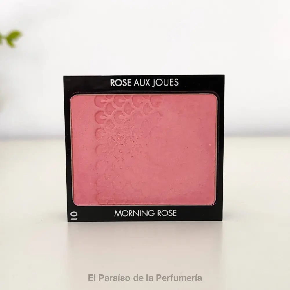 Rose Aux Joues - 01 Morning Rose - Colorete en Polvo - colorete