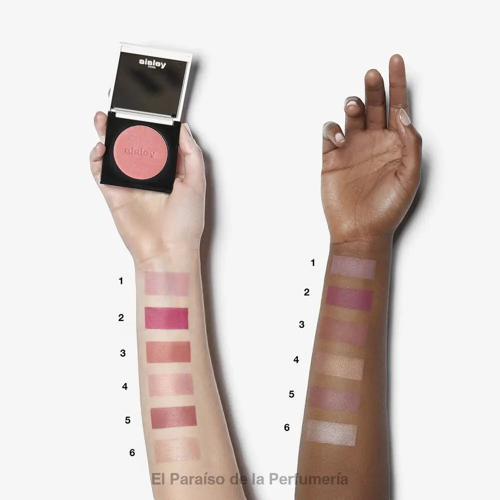 Le Phyto-Blush Radiant Blush | 2 Rosy Fuchsia: Rubor en polvo de lujo para un rostro radiante - colorete